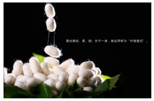 �Q�z�����α��Q(ch��ng)�������m�ı�����