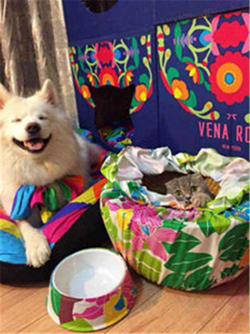 ���Ӷ�����Ψ�_�Ҽ����ص��̘I(y��)ģʽ