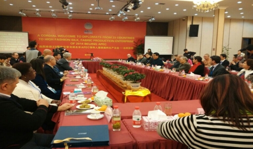 APEC(hu )20⽻RL(fng)_zI