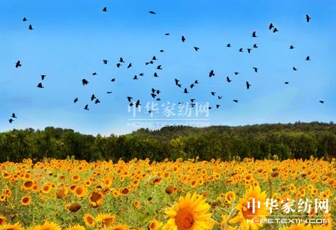 ����һ��ȥ���_��˹���s����