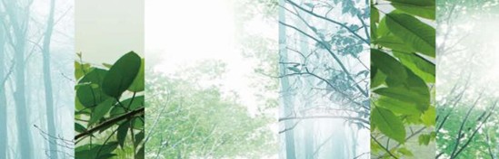 ���_�m���C�Ҽ���߀ԭ���Rԭ���B(t��i)ƽ��h(hu��n)��