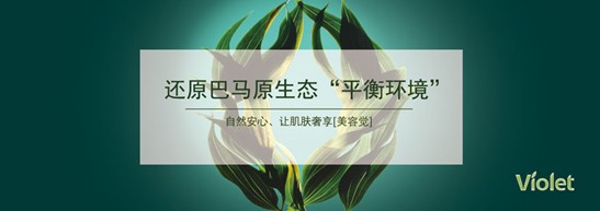 ����˯����ه(l��i)��Violet���C�Ҽ�