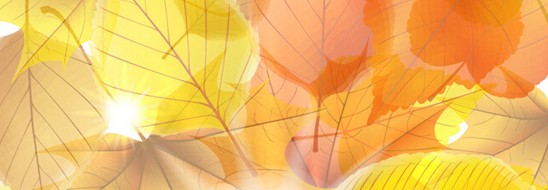 ����˯����ه(l��i)��Violet���C�Ҽ�