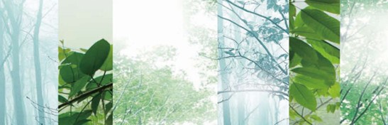 ����˯����ه(l��i)��Violet���C�Ҽ�