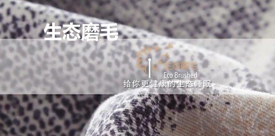 ���_�m���B(t��i)ĥë��Ʒ��׌˯�߻ؚw�������|(zh��)