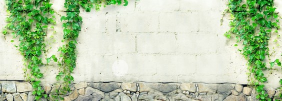 ʢ�š��ûʼҼ�2016������Ʒӆ؛��(hu�� )�A�M(m��n)���