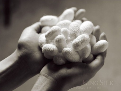 �vʹ�q������  �X(qi��n)���ʐ�(��i)����������D