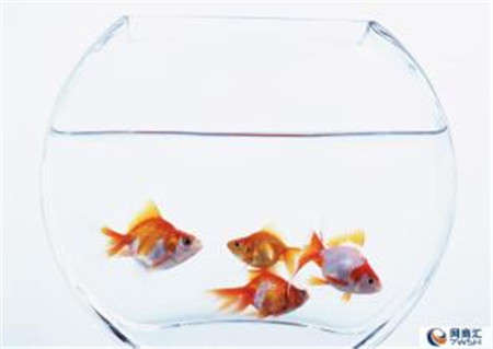 ûҾƷ^(gu)(g)ˬ÷꼾