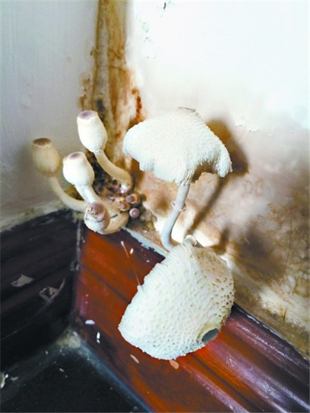 ûҾƷ^(gu)(g)ˬ÷꼾