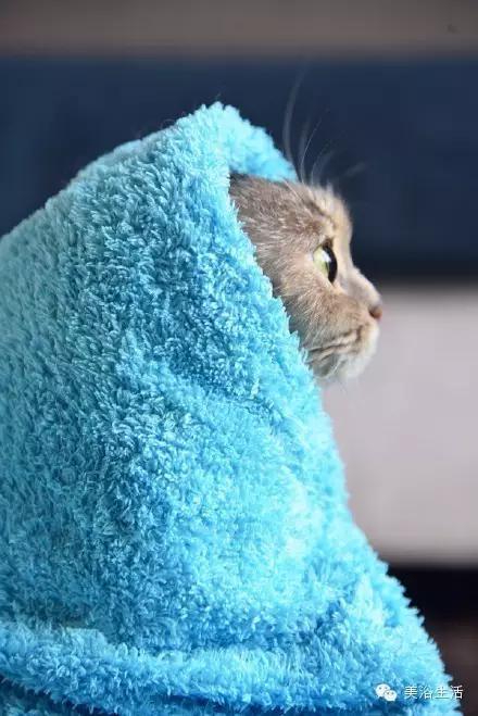 ��ԡ���ë�����Ԍ�����ë��Ҳ�����v����