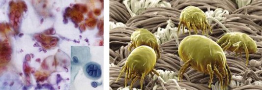 ���_�m�Ҽ�����(��i)������������(��i)��360�㝍����˯