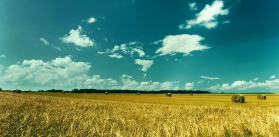 ���_�m�Ҽ���ɭ��������˯�ߡ����C���Сɭ��