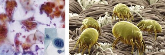 �ܽ^���f(w��n)���x(ch��ng)�����x���_�m���C�Ҽ�