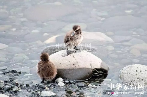 ������27�f(w��n)�I(m��i)�²���Ҽ�"����"��"����"��