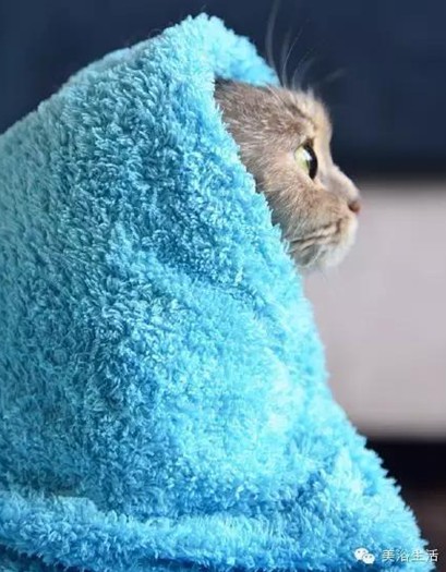 ԡëԌëҲv