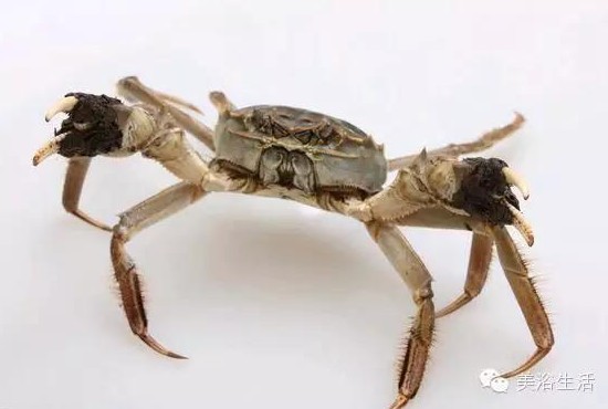 ��ԡ����Â���Ĵ��lз��з�S��ʳ��зȯ������з��������ë����