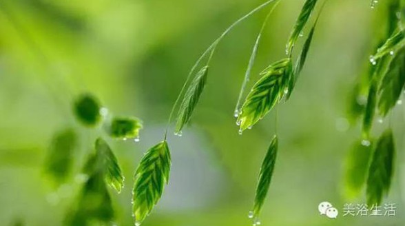 ��ԡ���Փһ�lë�����������B��