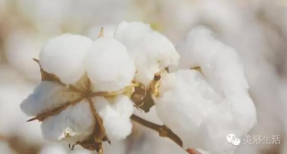 ��ԡ���Փһ�lë�����������B��