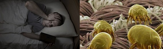 ���z�R�����_(k��i)�����B(t��i)���ܼҾ�4.0�r(sh��)��