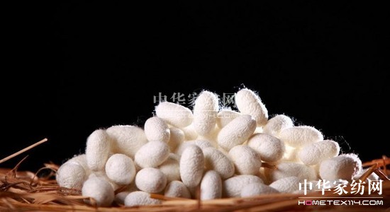 ���z�R�����_(k��i)�����B(t��i)���ܼҾ�4.0�r(sh��)��