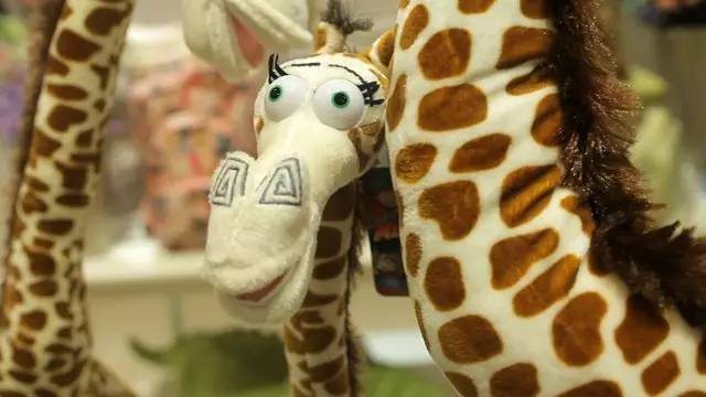 �L(f��ng)�Һ��(y��ng)�ĄPʢ�Ҿ������^�µ��_(k��i)�I(y��)���Ȳ�������ȥ��