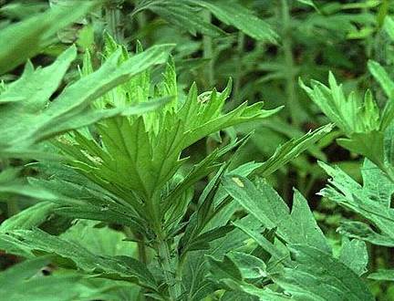 ���ľӼ�����ٛ���x�Ҽ����������B����