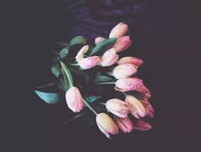 ����Ҽ����㷼ͥ��׌���ŏ��ݾ`��