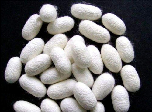 ͬ���ǽz�����W�_���{ʲô���f(shu��)������(��i)�R����