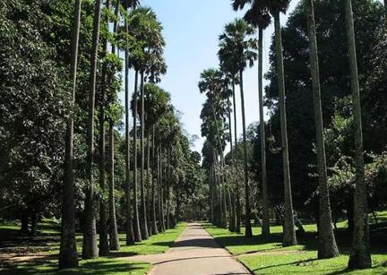 �����ͯ������Ȼ���z��׌˯�߻ؚw���|(zh��)