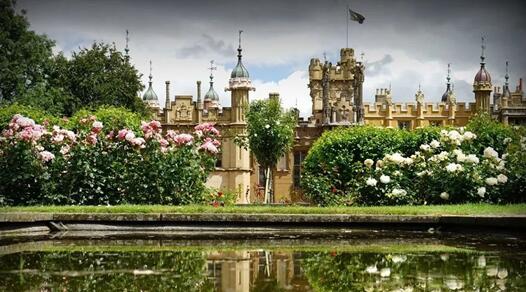 ̽•ؾ˹2019Ʒl(f)(hu )