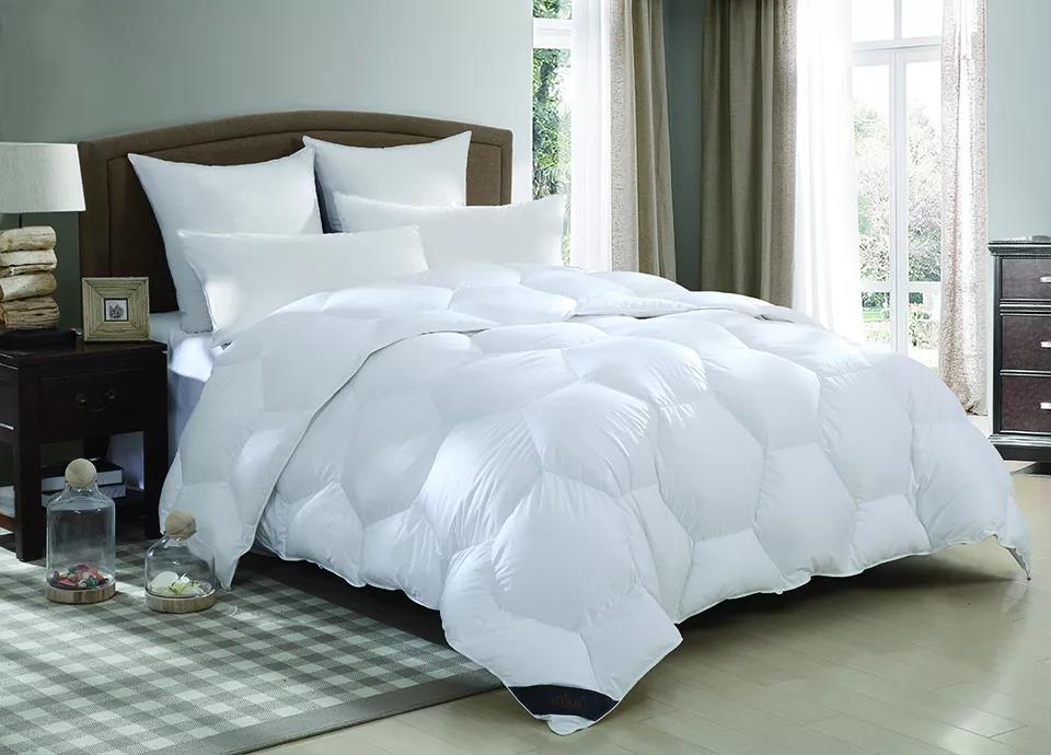 ƷZq˜ʳ_쿴I(mi)ı_˛](mi)