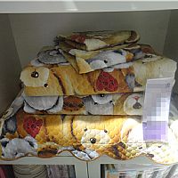 �r(sh��)�д��w������