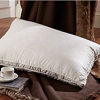 ����˹�Z�Z�q��