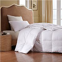 ���Z���Z�q����