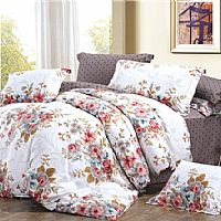 �����h��(��)