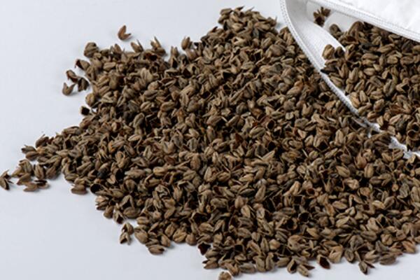 (zh)ȻѻҼĸɽwsߴ﷦