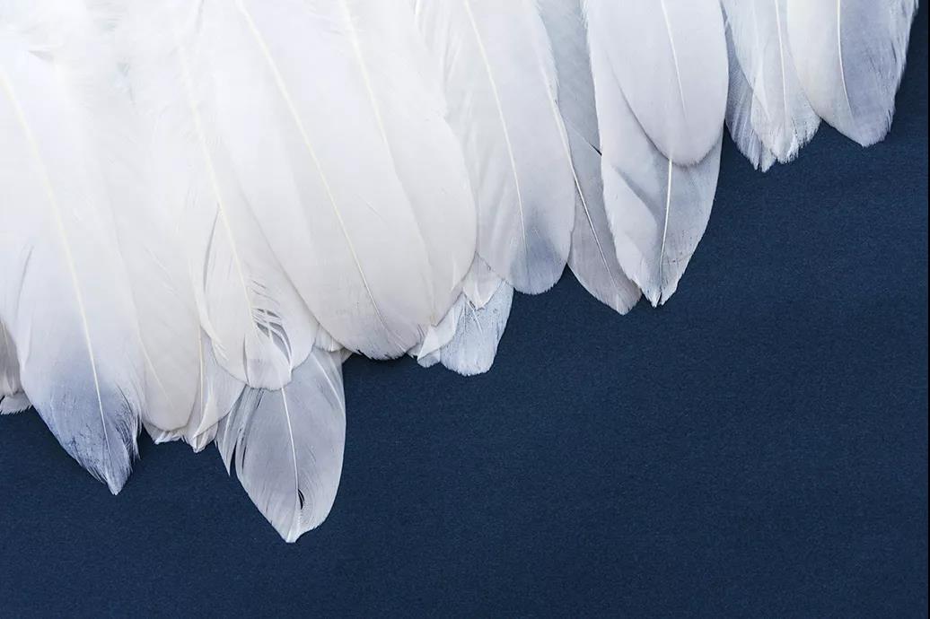 ƷZq˜ʳ_쿴I(mi)ı_˛](mi)