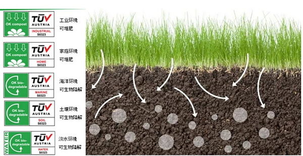 ۽ɳml(f)չc(din)ṩSQmЄ(dng)