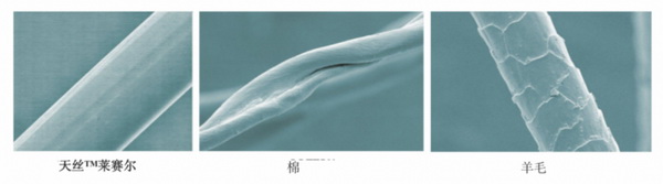 cpM(mn)ҼҾmz™ƷwS